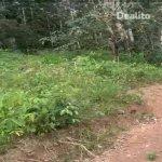 Terrain Azaguié AHOUA 500m² | Dealito.ci