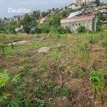 Terrain à vendre Abidjan bingerville 442m2 | Dealito.ci