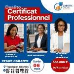 Certificat Professionnel en Santé  | Dealito.ci