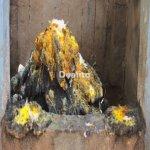 Consultant du Faa retour d'affection etc... | Dealito.ci