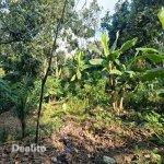 TERRAIN EN VENTE | Dealito.ci