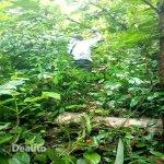 Vente de parcelle agricole à anyama | Dealito.ci