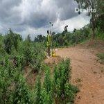 EBADD a une belle opportunité  | Abritmoi