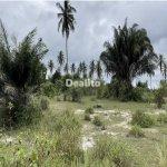 terrain à vendre à Assinie | Dealito.ci