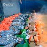 La force tranquille est toujours disponible ici  | Dealito.ci