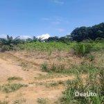 AUTOROUTE DU NORD au PK 30 vente 84643m²  (ACD) | Dealito.ci