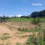 AUTOROUTE NORD PK26 vente 8 hectares 4643m2 ACD)  | Dealito.ci