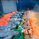 La force tranquille est toujours disponible ici  | Dealito.ci