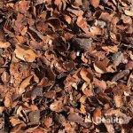 VENTE DE DERIVÉS DE CACAO  | Dealito.ci
