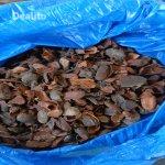 VENTE DE COQUE DE CACAO ET AUTRES | Dealito.ci