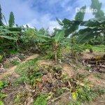 TERRAIN EN VENTE | Dealito.ci