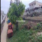 Terrain commercial en location vers le Chu d'Angre  | Dealito.ci