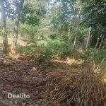 Parcelle 02 hectares avec ACD à Anyama | Dealito.ci