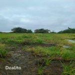 TERRAIN EN VENTE | Dealito.ci