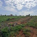 Vente de terrain à agboville  | Dealito.ci