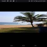 TERRAIN BORDURE DE MER SASSANDRA | Dealito.ci