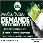 Postez votre demande gratuitement sur Solu Africa ! | Dealito.ci