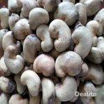 we supplie 5000Tof raw cashew nut origin ivory coast  | Dealito.ci