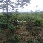 proprietaire vend une parcelle  | Dealito.ci