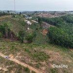 terrain En bordure de la nouvelle autoroute d'assini  | Dealito.ci