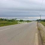  Yopougon – Songon M’braté vente 15 hectares  (ACD) | Dealito.ci