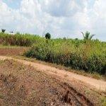 SITE EBIMPE Y4 | Dealito.ci